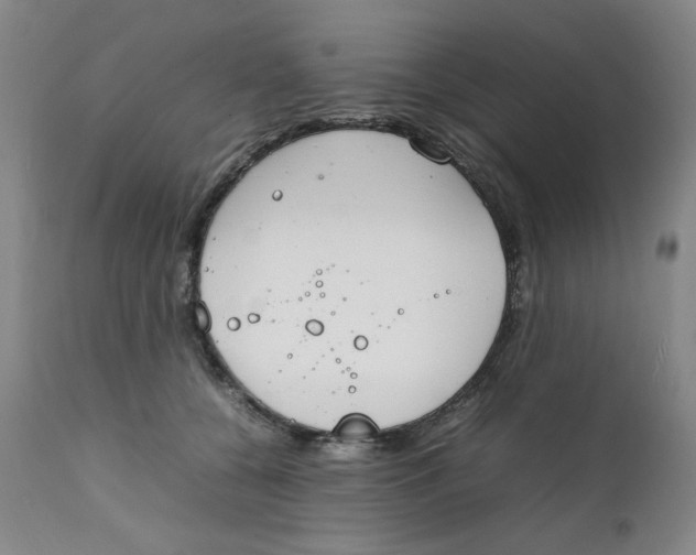 X0000111230560200907231507