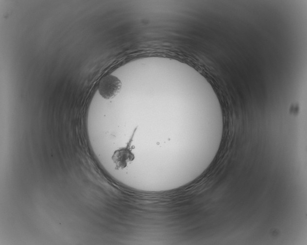 X0000111230562200907231507