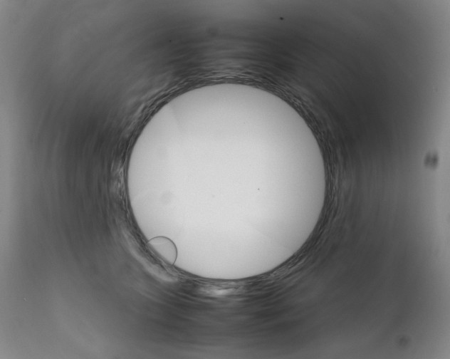 X0000111230563200907231507