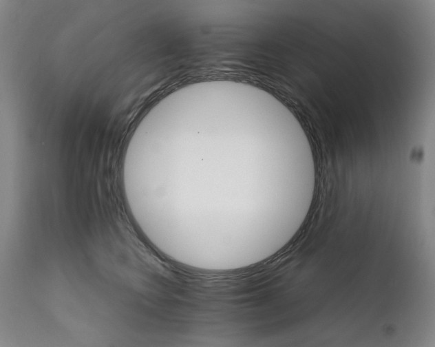 X0000111230566200907231507