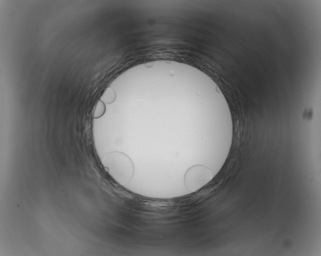 X0000111230567200907231507