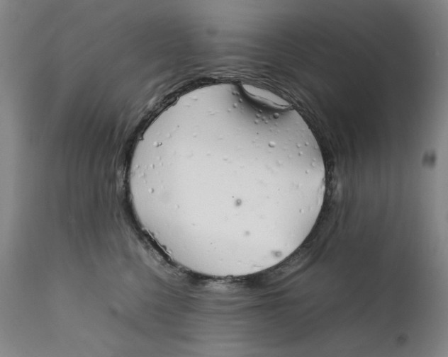 X0000111230568200907231507