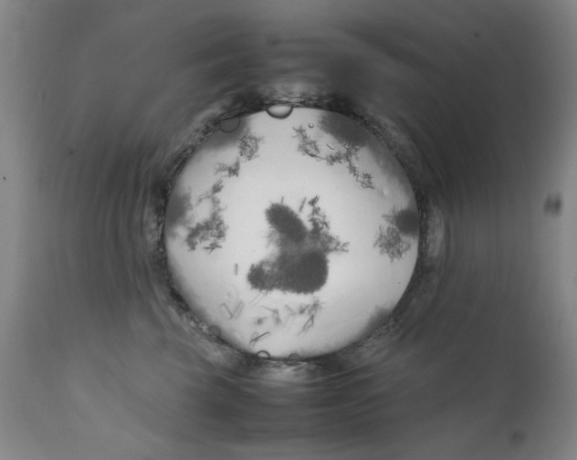 X0000111230569200907231507