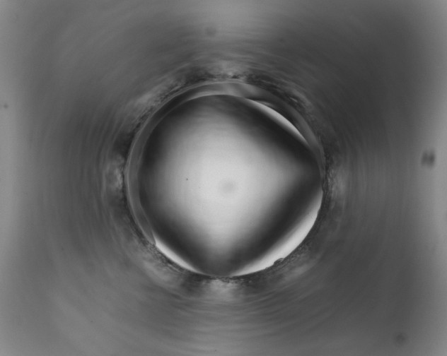 X0000111230570200907231507