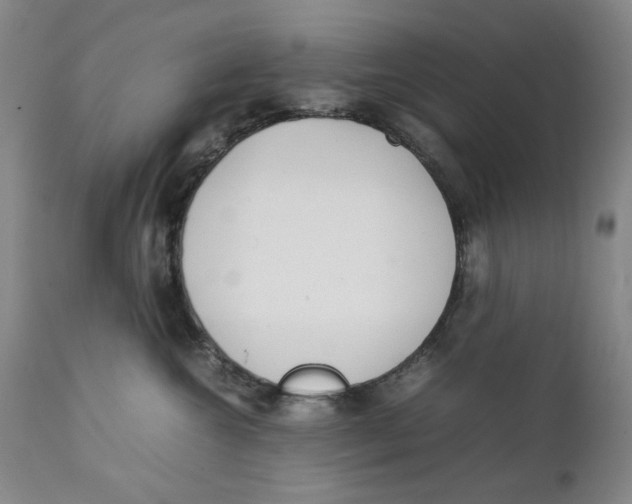 X0000111230572200907231507