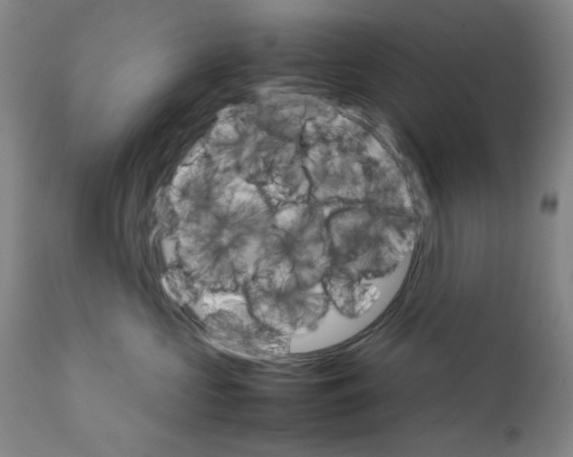 X0000111230573200907231507