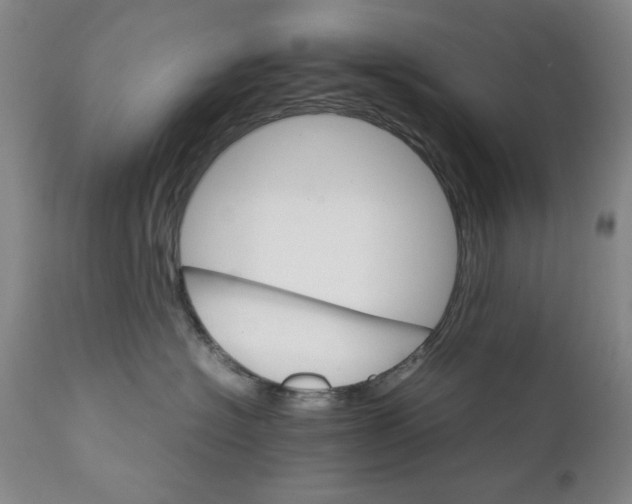 X0000111230574200907231507