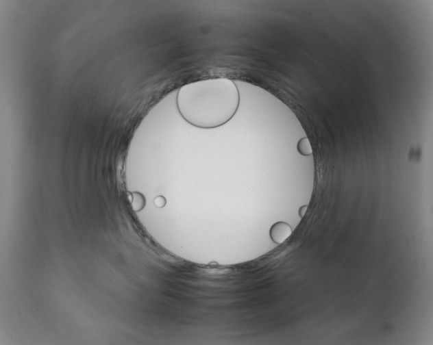 X0000111230575200907231507