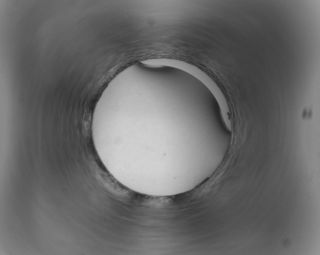 X0000111230576200907231507