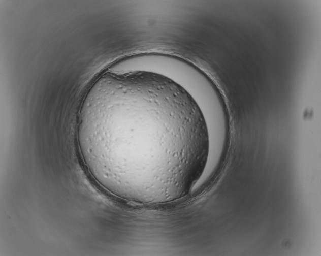 X0000111230577200907231506