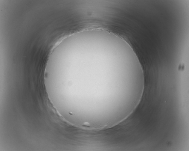 X0000111230579200907231506