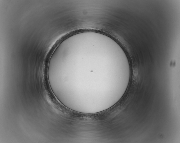 X0000111230580200907231506