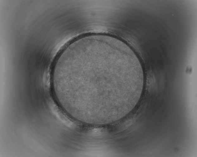 X0000111230584200907231506