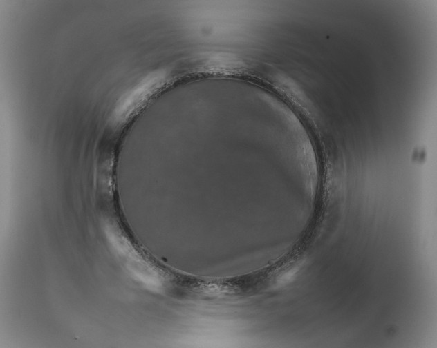 X0000111230585200907231506