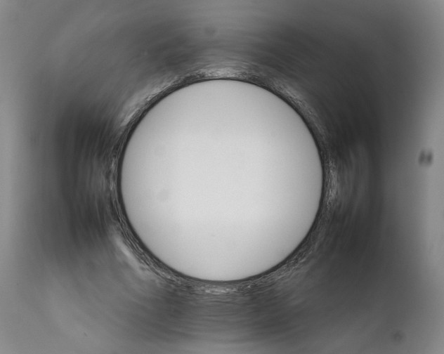 X0000111230586200907231506