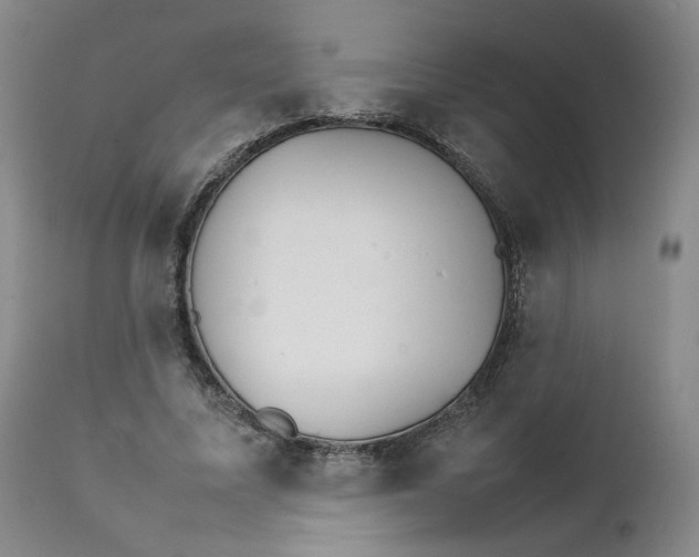 X0000111230587200907231506