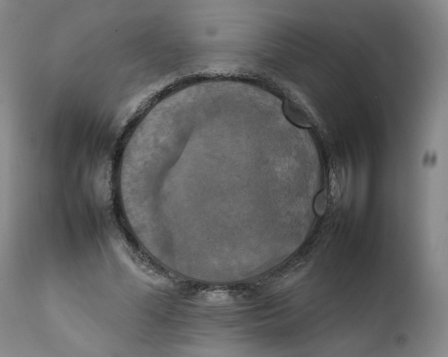 X0000111230588200907231506