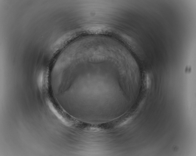 X0000111230590200907231506