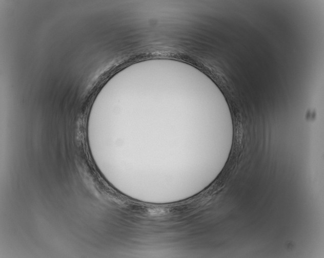 X0000111230591200907231506