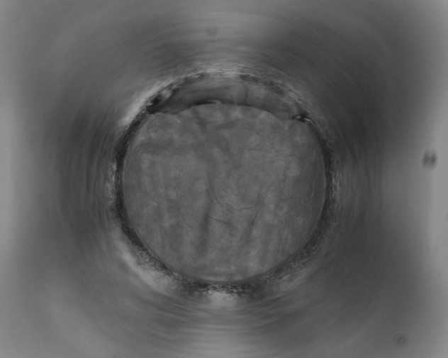 X0000111230592200907231506