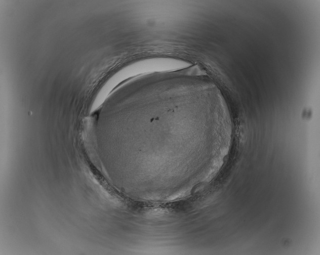 X0000111230593200907231506