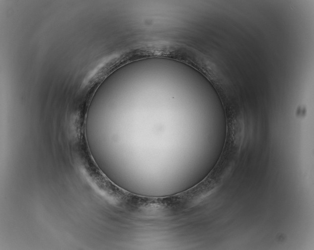 X0000111230594200907231506