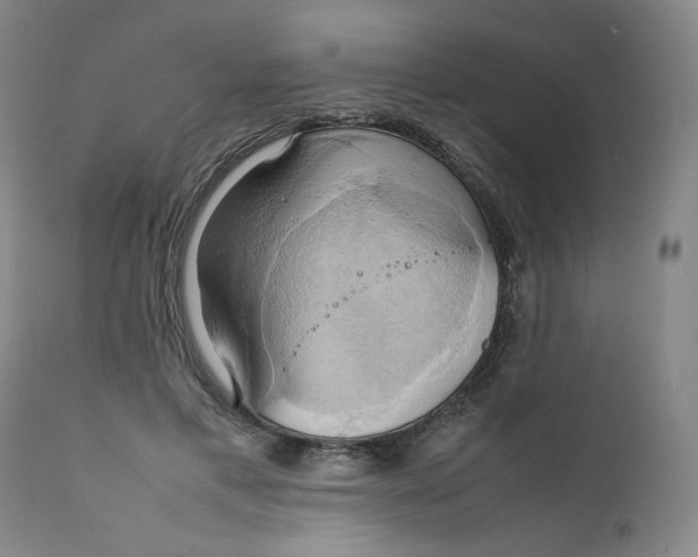 X0000111230597200907231506