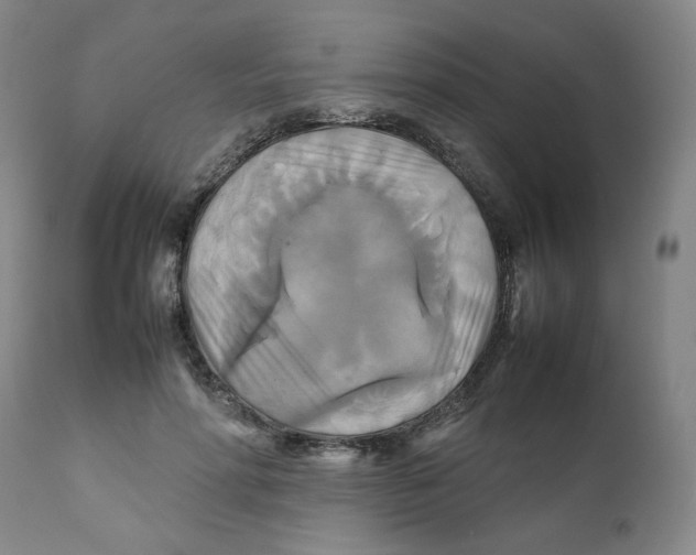 X0000111230598200907231506