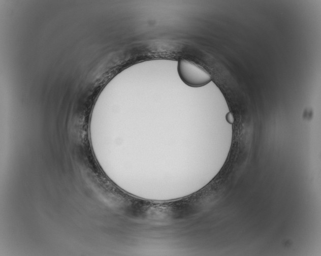 X0000111230599200907231506