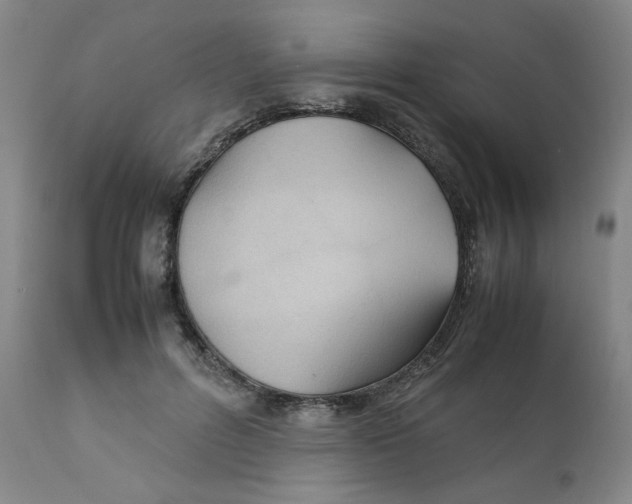 X0000111230600200907231506