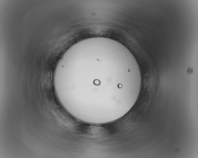 X0000111230605200907231506