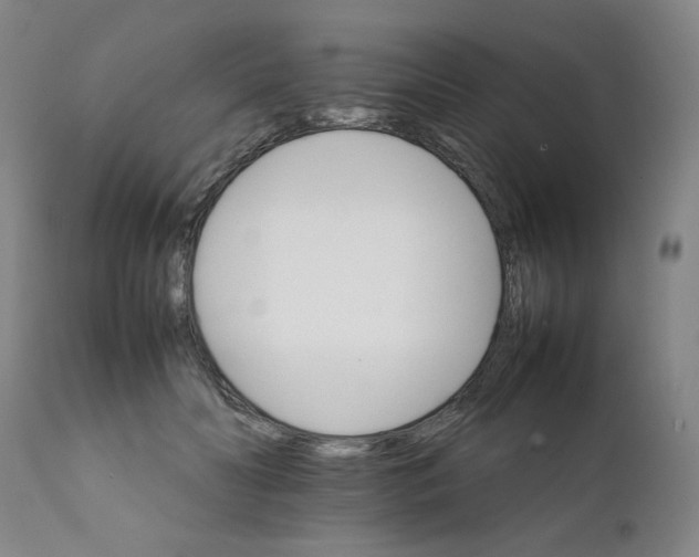 X0000111230606200907231506