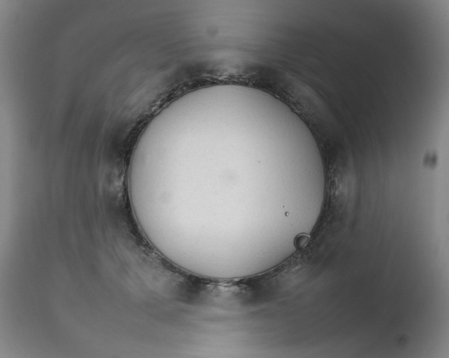 X0000111230607200907231506