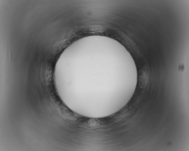 X0000111230608200907231506