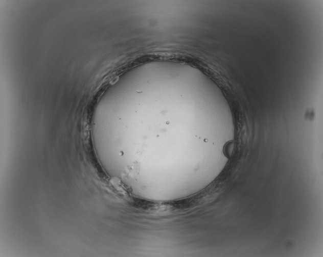 X0000111230609200907231506