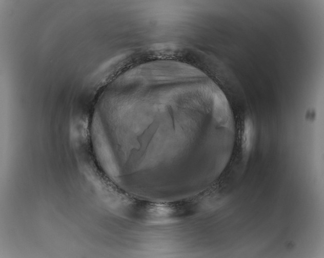 X0000111230610200907231506