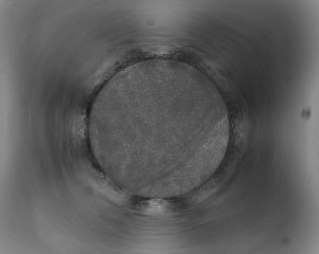 X0000111230612200907231506