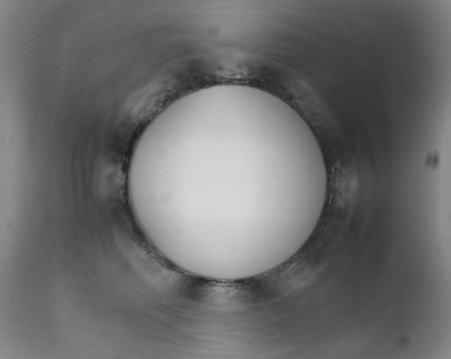 X0000111230614200907231506