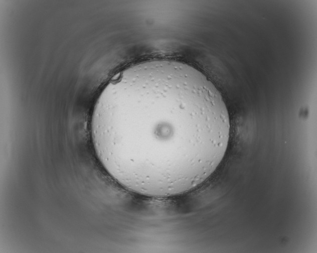 X0000111230615200907231506