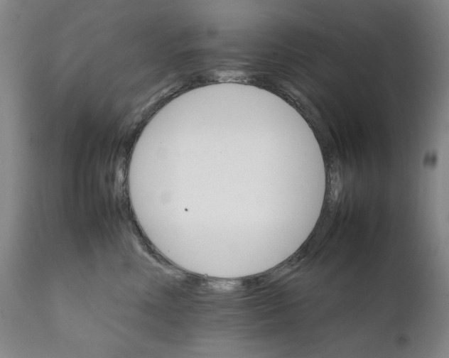 X0000111230618200907231505