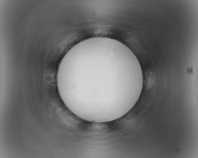 X0000111230619200907231505