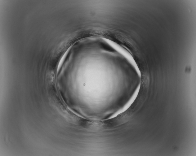 X0000111230621200907231505