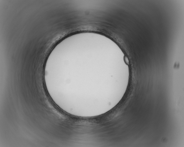 X0000111230625200907231505