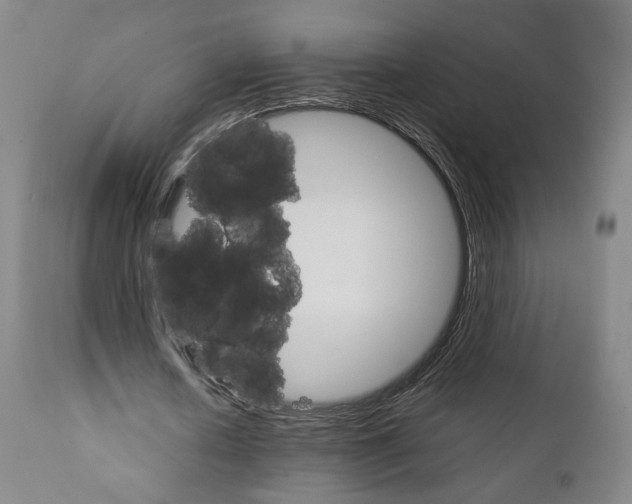 X0000111230626200907231505