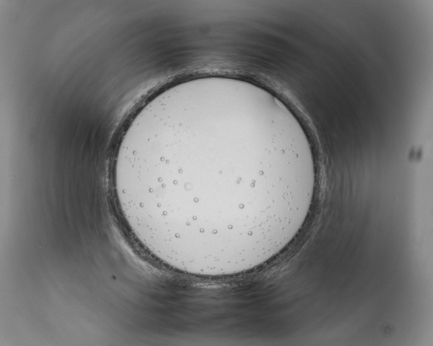 X0000111230629200907231505