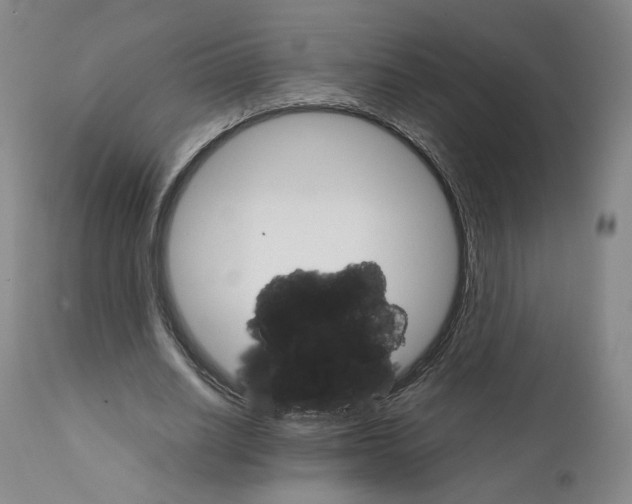 X0000111230630200907231505