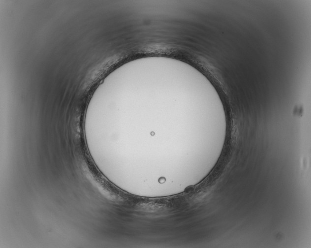 X0000111230633200907231505