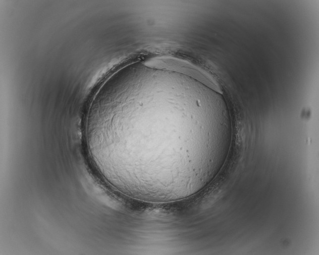 X0000111230634200907231505