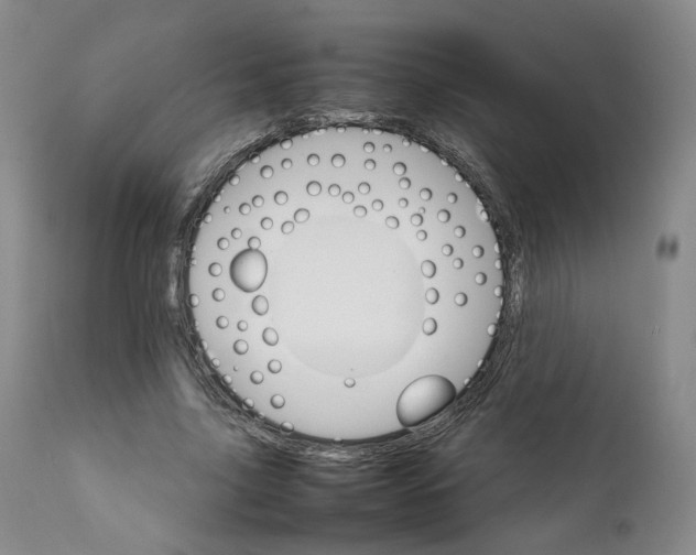 X0000111230635200907231505