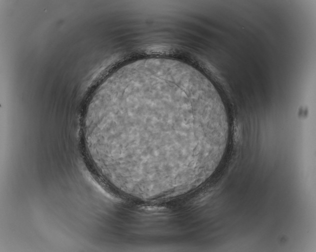 X0000111230637200907231505